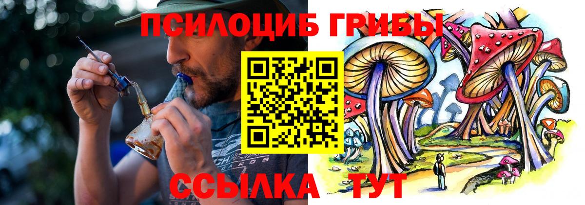 Псилоцибиновые грибы Cubensis Апшеронск